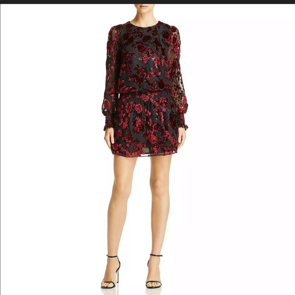 Parker Women’s Black Velvet Drop Waist Floral